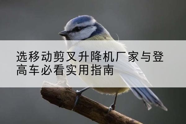 枝江电动升降机厂家-选移动剪叉升降机厂家与登高车必看实用指南