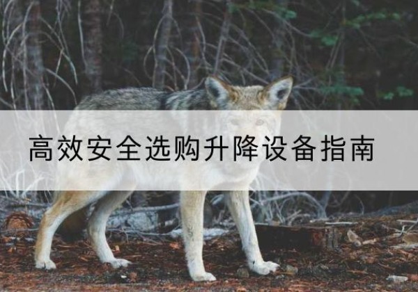 枝江升降货梯厂家推荐-*安全选购升降设备指南