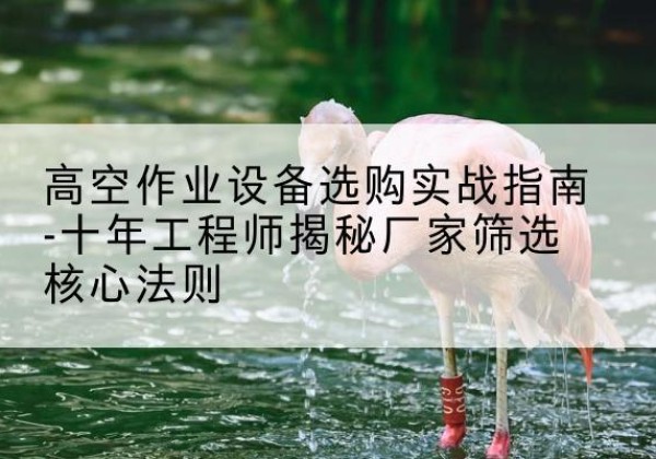 枝江剪叉式升降机厂家-高空作业设备选购实战指南-十年工程师揭秘厂家筛选核心法则